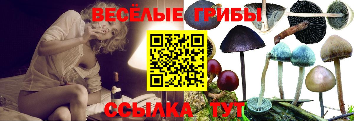 Галлюциногенные грибы мицелий Людиново